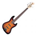j&d jb5 professional bass guitar