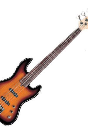 j&d jb5 professional bass guitar