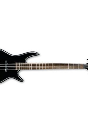 Ibanez GSR325 5-String Bass Guitar