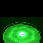 LED Bottle Light Up tray Plastic Wine Plate LED Bottle Holder