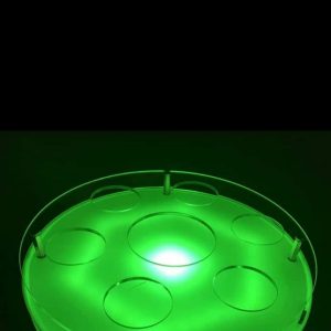 LED Bottle Light Up tray Plastic Wine Plate LED Bottle Holder