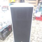 High Class H&H815-PLUS Double Speaker(pair)