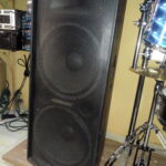 GRACE SOUND 215 PRO AUDIO FULL RANGE LOUDSPEAKERS(Pair)
