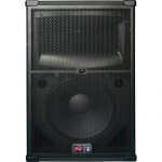 Peavey SP2 15" 2-Way Passive Loudspeaker