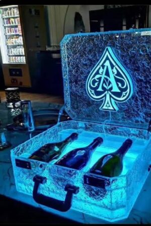 Ace of spade BOTTLE PRESENTER  CASE