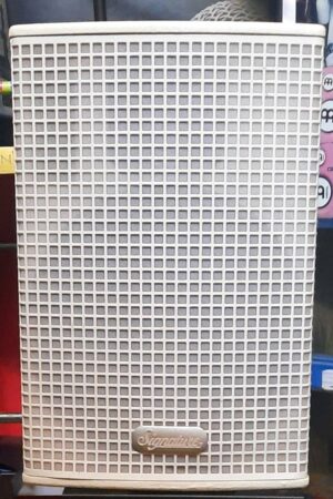 Signature PH10 single 10inch full frequency Professional loudspeaker