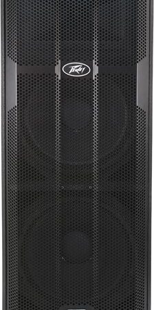 Peavey DPE4P Dual 15 Inch powered Loudspeaker