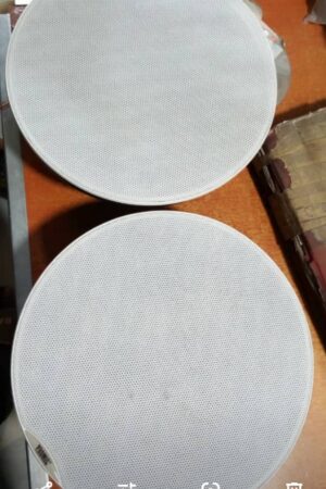 PROMIC 2in1 40W  High-performance Bluetooth Ceiling Speaker