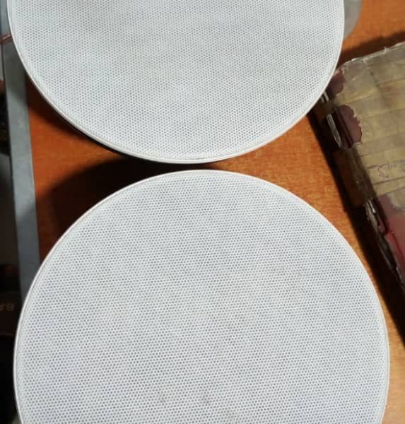 PROMIC 2in1 40W  High-performance Bluetooth Ceiling Speaker