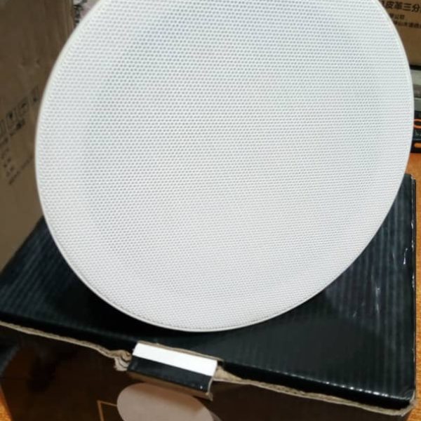PROMIC 40W  High-performance Bluetooth Ceiling Speaker