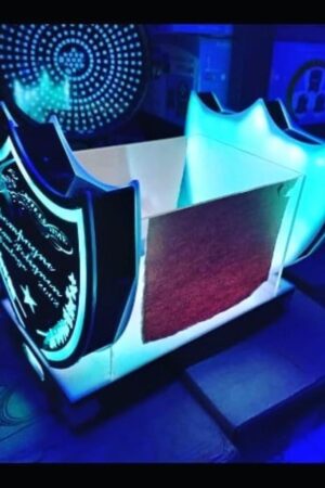 LED VIP BOTTLE SERVICE DELIVERY TRAY (Champagne casket)