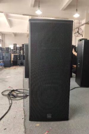 Signature EX25 double 15inch full frequency Professional loudspeaker