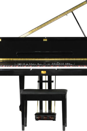 Behringer EG8180USB Eurogrand Concert Digital Piano