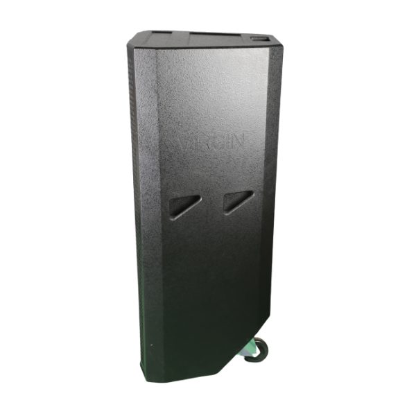 Virgin-sound-GX-215-NPC-speaker-sideview