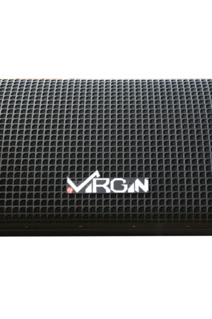 Virgin Sound Delta-15M 2-way passive full range monitoring loudspeaker