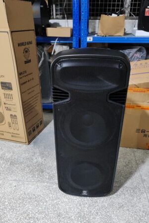 WORLDKING WK-215 Double 15 Inch Multimedia Trolley Speaker