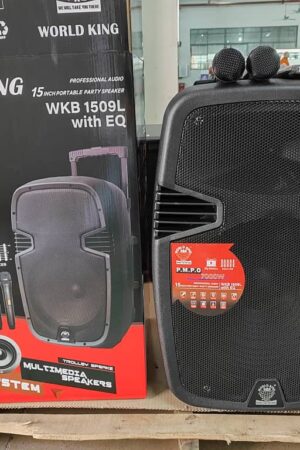 WORLDKING WKB-1509L 15 Inch Multifunctional PA Active Speaker System With Equalizer,Bluetooth, Speaker, Two Wireless Microphones & USB/SD Port aww