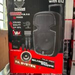 WORLDKING WKB-1209L 12 Inch Multifunctional PA Active Speaker System With Equalizer, Bluetooth, Speaker, Two Wireless Microphones & USB/SD Port aww