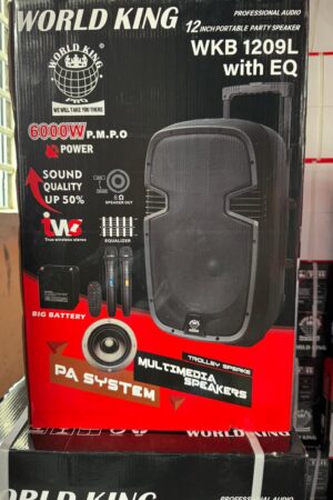 WORLDKING WKB-1209L 12 Inch Multifunctional PA Active Speaker System With Equalizer, Bluetooth, Speaker, Two Wireless Microphones & USB/SD Port aww