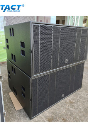 Tact Pro Audio B2 18'' Dual Subwoofer