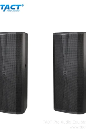 Tact Pro Audio NX25  Double 15 inch P.A speaker