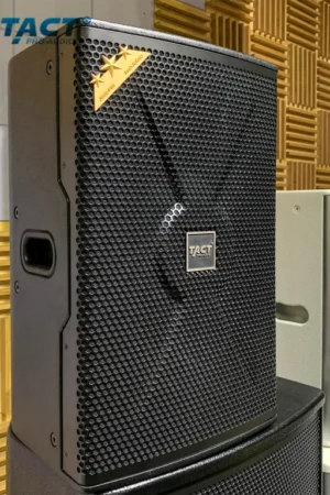 Tact Pro Audio  PV15  15inch 600w big power professional loudspeaker
