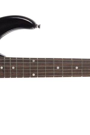 Peavey Raptor electric guitar
