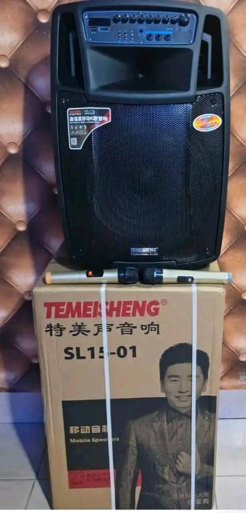 TEMEISHENG SL15-01 15 inch Rechargeable Public Address System - Image 2