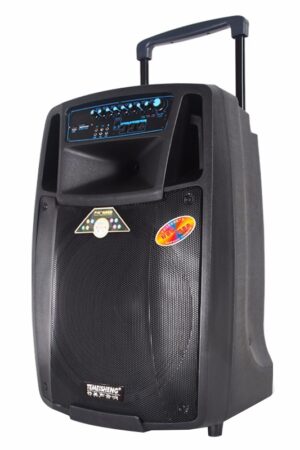 TEMEISHENG SL15-01 15 inch Rechargeable Public Address System