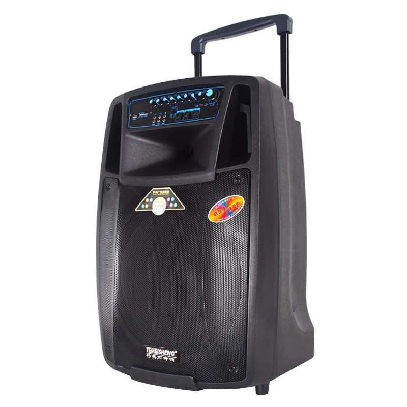 TEMEISHENG SL15-01 15 inch Rechargeable Public Address System